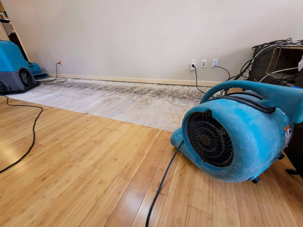Professional Flood Damage Cleanup technician working in Russellville, AR